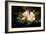 Giant Magnolias on Blue Cloth-Martin Johnson Heade-Framed Giclee Print