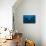 Giant Manta Ray-Matthew Oldfield-Mounted Photographic Print displayed on a wall