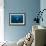 Giant Manta Ray-Matthew Oldfield-Framed Photographic Print displayed on a wall