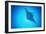 Giant Manta Ray-Matthew Oldfield-Framed Photographic Print