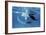 Giant Manta Rays-Georgette Douwma-Framed Photographic Print