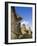 Giant Monolithic Stone Moai Statues at Rano Raraku, Rapa Nui, Chile-Gavin Hellier-Framed Photographic Print