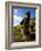 Giant Monolithic Stone Moai Statues at Rano Raraku, Rapa Nui, Chile-Gavin Hellier-Framed Photographic Print