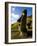 Giant Monolithic Stone Moai Statues at Rano Raraku, Rapa Nui, Chile-Gavin Hellier-Framed Photographic Print