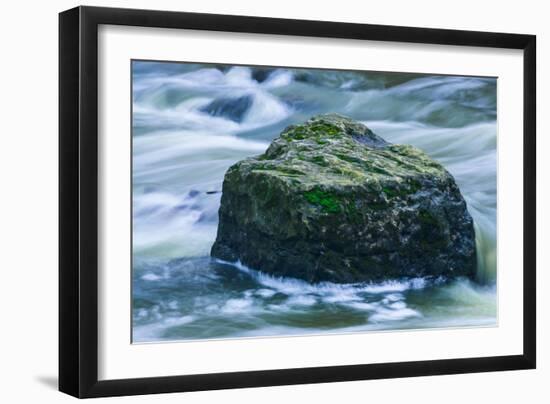 Giant Moss Covered Boulder Swirling Water-Anthony Paladino-Framed Giclee Print