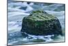 Giant Moss Covered Boulder Swirling Water-Anthony Paladino-Mounted Giclee Print