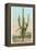 Giant Multi-Armed Saguaro Cactus-null-Framed Stretched Canvas