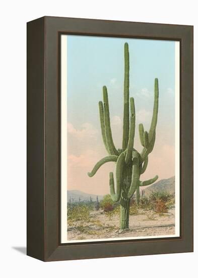 Giant Multi-Armed Saguaro Cactus-null-Framed Stretched Canvas