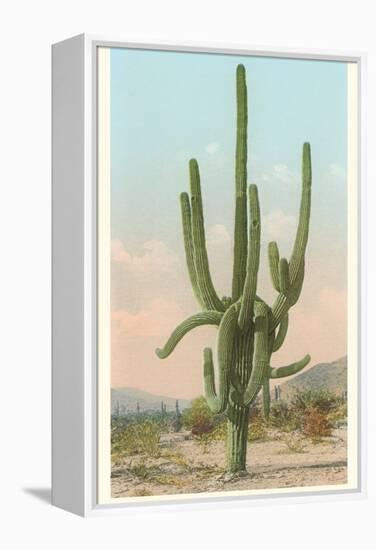 Giant Multi-Armed Saguaro Cactus-null-Framed Stretched Canvas