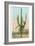 Giant Multi-Armed Saguaro Cactus-null-Framed Premium Giclee Print