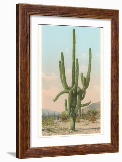 Giant Multi-Armed Saguaro Cactus-null-Framed Premium Giclee Print