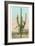 Giant Multi-Armed Saguaro Cactus-null-Framed Premium Giclee Print