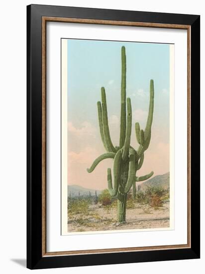 Giant Multi-Armed Saguaro Cactus-null-Framed Premium Giclee Print