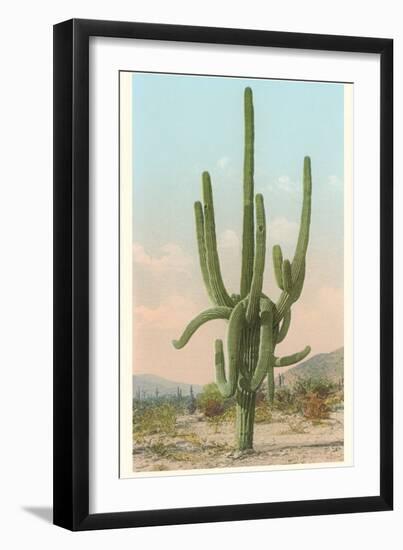 Giant Multi-Armed Saguaro Cactus-null-Framed Premium Giclee Print