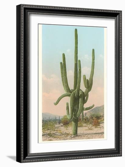 Giant Multi-Armed Saguaro Cactus-null-Framed Premium Giclee Print