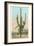 Giant Multi-Armed Saguaro Cactus-null-Framed Premium Giclee Print