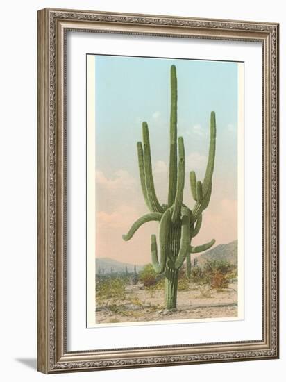 Giant Multi-Armed Saguaro Cactus-null-Framed Art Print