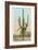 Giant Multi-Armed Saguaro Cactus-null-Framed Art Print