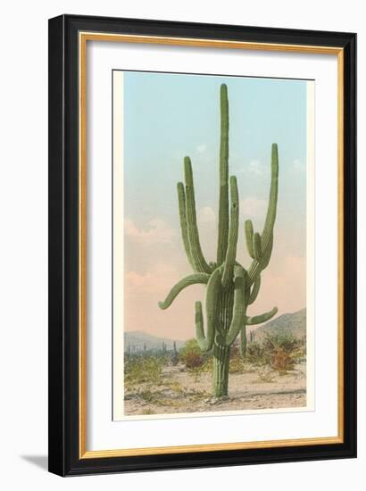 Giant Multi-Armed Saguaro Cactus-null-Framed Art Print