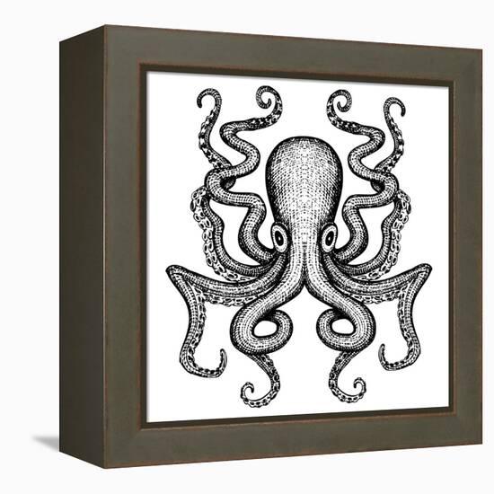 Giant Octopus - Sea Monster-IADA-Framed Stretched Canvas