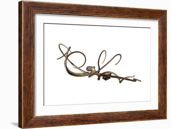 Giant Octopus-null-Framed Art Print