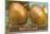 Giant Onions on Flatbed-null-Mounted Art Print