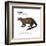 Giant Otter (Pteronura Brasiliensis), Mammals-Encyclopaedia Britannica-Framed Art Print