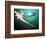 Giant Pacific Octopus, Pacific Northwest, USA-Stuart Westmoreland-Framed Photographic Print