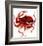 Giant Pacific Octopus - Red-Jeannine Saylor-Framed Art Print