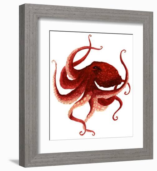 Giant Pacific Octopus - Red-Jeannine Saylor-Framed Art Print