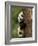 Giant Panda Babies, Wolong China Conservation and Research Center for the Giant Panda, China-Pete Oxford-Framed Photographic Print