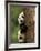 Giant Panda Babies, Wolong China Conservation and Research Center for the Giant Panda, China-Pete Oxford-Framed Photographic Print