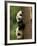 Giant Panda Babies, Wolong China Conservation and Research Center for the Giant Panda, China-Pete Oxford-Framed Photographic Print