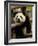 Giant Panda Baby, Wolong China Conservation and Research Center for the Giant Panda, China-Pete Oxford-Framed Photographic Print