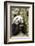 Giant Panda, Chengdu, China-Paul Souders-Framed Photographic Print