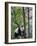 Giant Panda Climbing in a Tree Bifengxia Giant Panda Breeding and Conservation Center, China-Eric Baccega-Framed Photographic Print