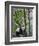 Giant Panda Climbing in a Tree Bifengxia Giant Panda Breeding and Conservation Center, China-Eric Baccega-Framed Photographic Print