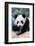 Giant panda cub portrait Yuan Meng, Captive at Beauval Zoo, France-Eric Baccega-Framed Photographic Print