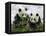 Giant Panda Cubs in Snowfall-Keren Su-Framed Premier Image Canvas