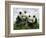 Giant Panda Cubs in Snowfall-Keren Su-Framed Photographic Print