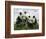 Giant Panda Cubs in Snowfall-Keren Su-Framed Photographic Print