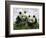 Giant Panda Cubs in Snowfall-Keren Su-Framed Photographic Print