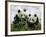 Giant Panda Cubs in Snowfall-Keren Su-Framed Photographic Print