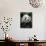 Giant Panda Feeding on Bamboo at Bifengxia Giant Panda Breeding and Conservation Center, China-Eric Baccega-Photographic Print displayed on a wall