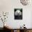 Giant Panda Feeding on Bamboo at Bifengxia Giant Panda Breeding and Conservation Center, China-Eric Baccega-Photographic Print displayed on a wall