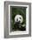 Giant Panda in the Forest-DLILLC-Framed Photographic Print