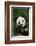 Giant Panda in the Forest-DLILLC-Framed Photographic Print