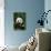 Giant Panda in the Forest-DLILLC-Mounted Photographic Print displayed on a wall