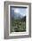 Giant Panda in the Forest-DLILLC-Framed Photographic Print