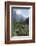 Giant Panda in the Forest-DLILLC-Framed Photographic Print